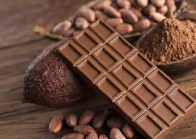 Vino, cioccolato, barca ecosostenibile